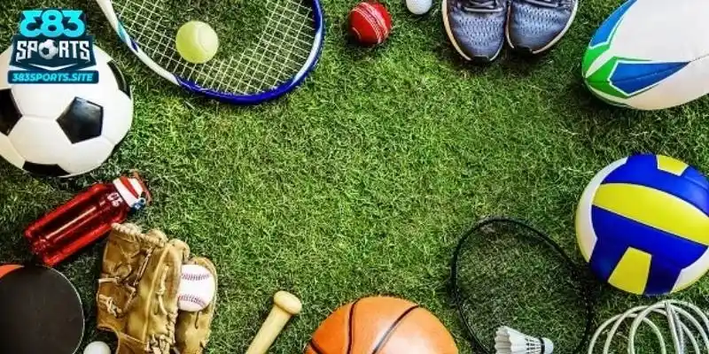 383sports cung cấp đa dạng bộ môn cá cược thể thao hàng đầu